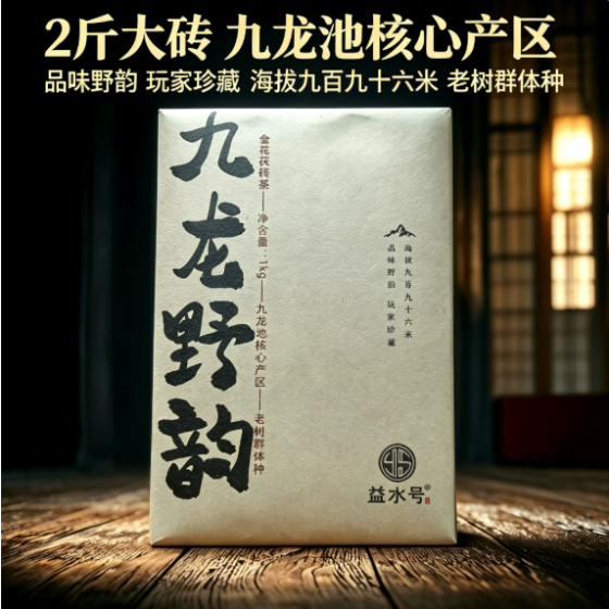 安化黑茶金花茯砖茶益水号九龙野韵2009年茯砖
